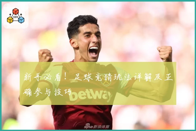 新手必看!足球竞猜玩法详解及正确参与技巧