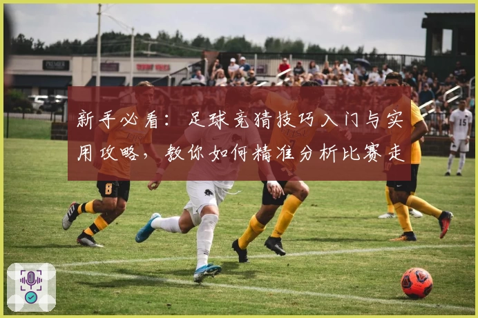 新手必看：足球竞猜技巧入门与实用攻略，教你如何精准分析比赛走势