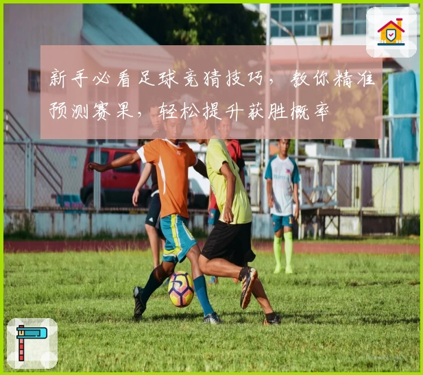 新手必看足球竞猜技巧,教你精准预测赛果,轻松提升获胜概率