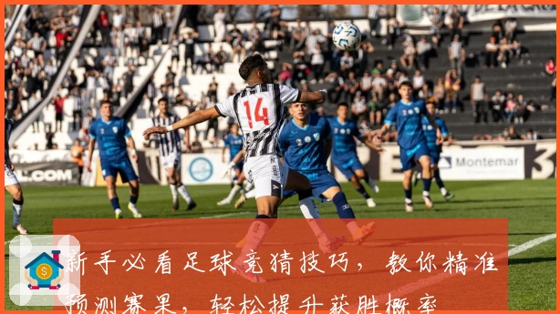 新手必看足球竞猜技巧,教你精准预测赛果,轻松提升获胜概率