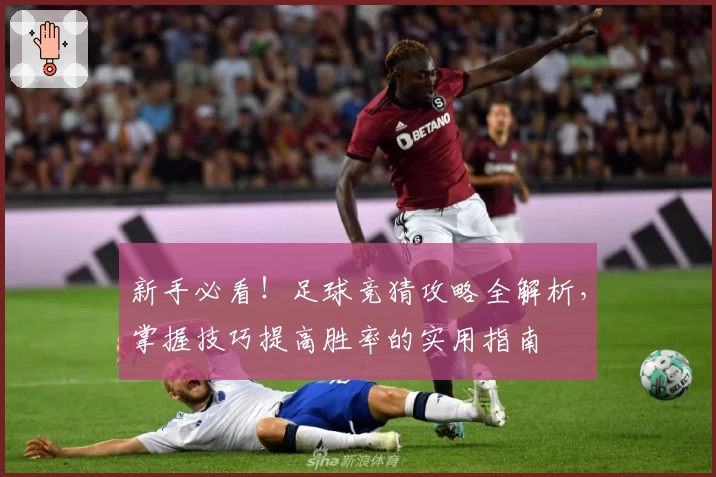 新手必看！足球竞猜攻略全解析，掌握技巧提高胜率的实用指南